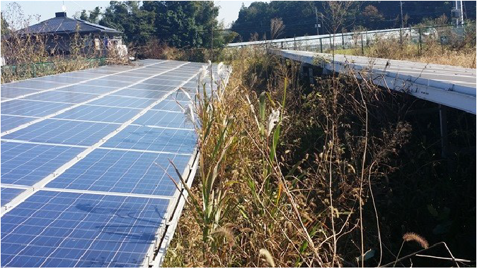 定期巡回サービス